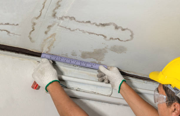 Reliable Sewage Cleanup contractor in Pittsford, MI by Water Damage Irwin